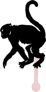 Mono